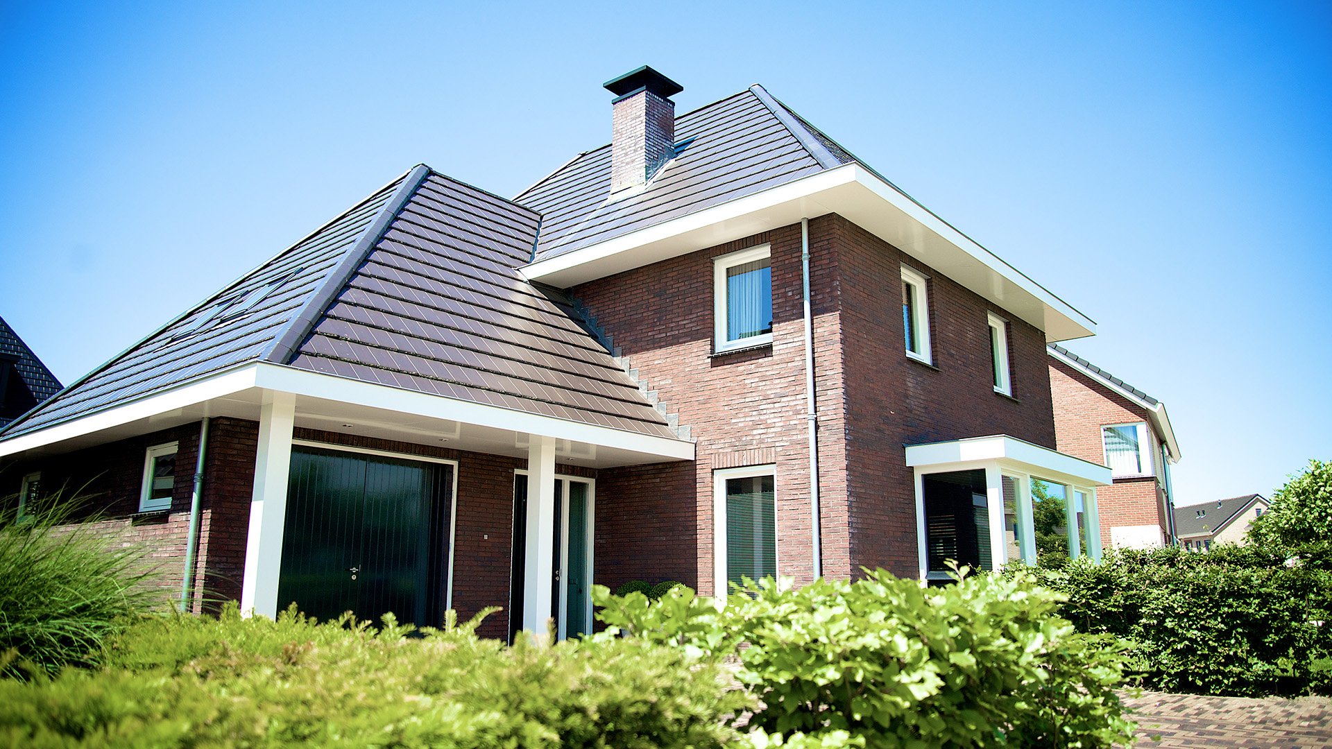 Opvallende verschijning