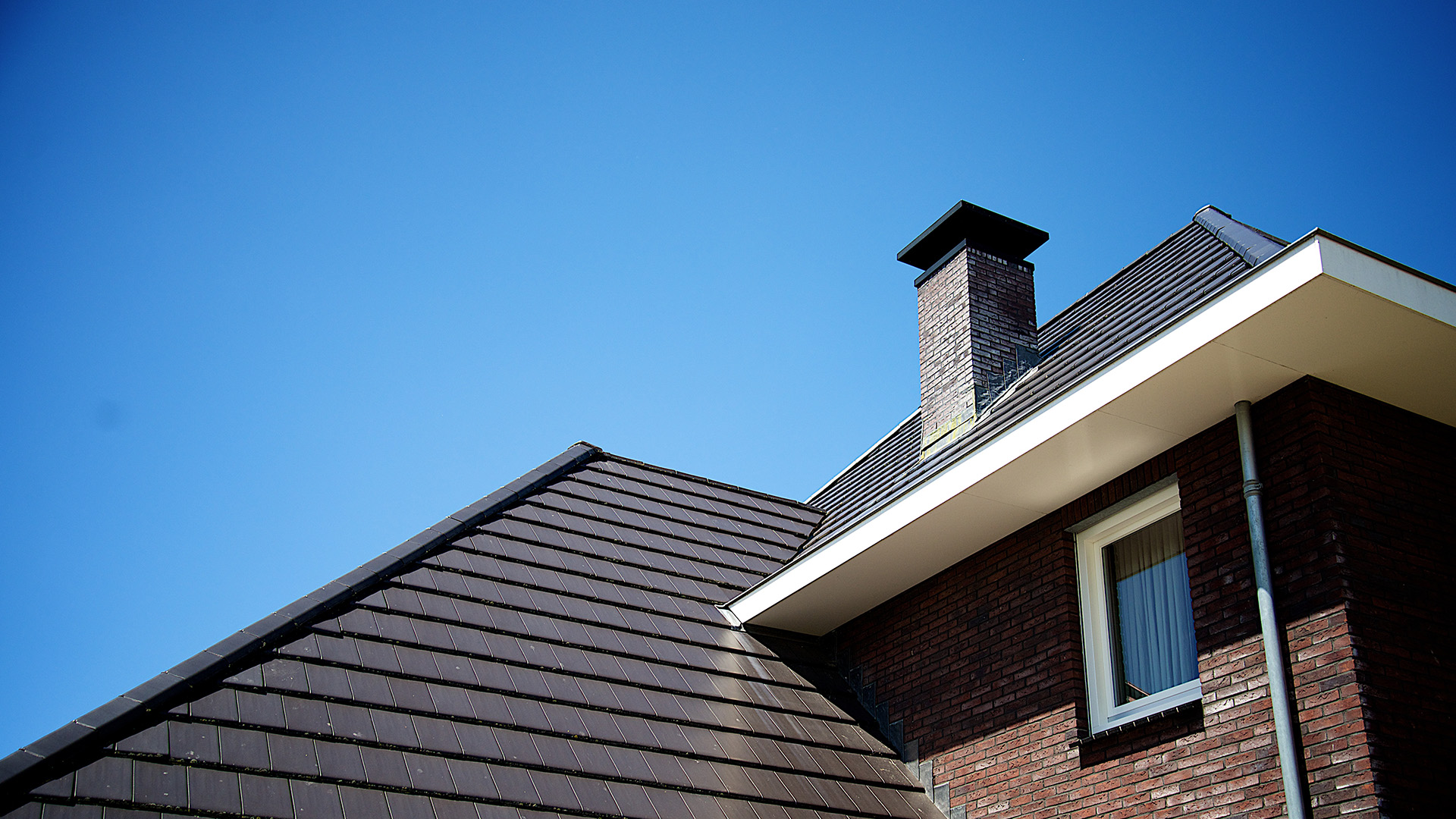 Opvallende verschijning