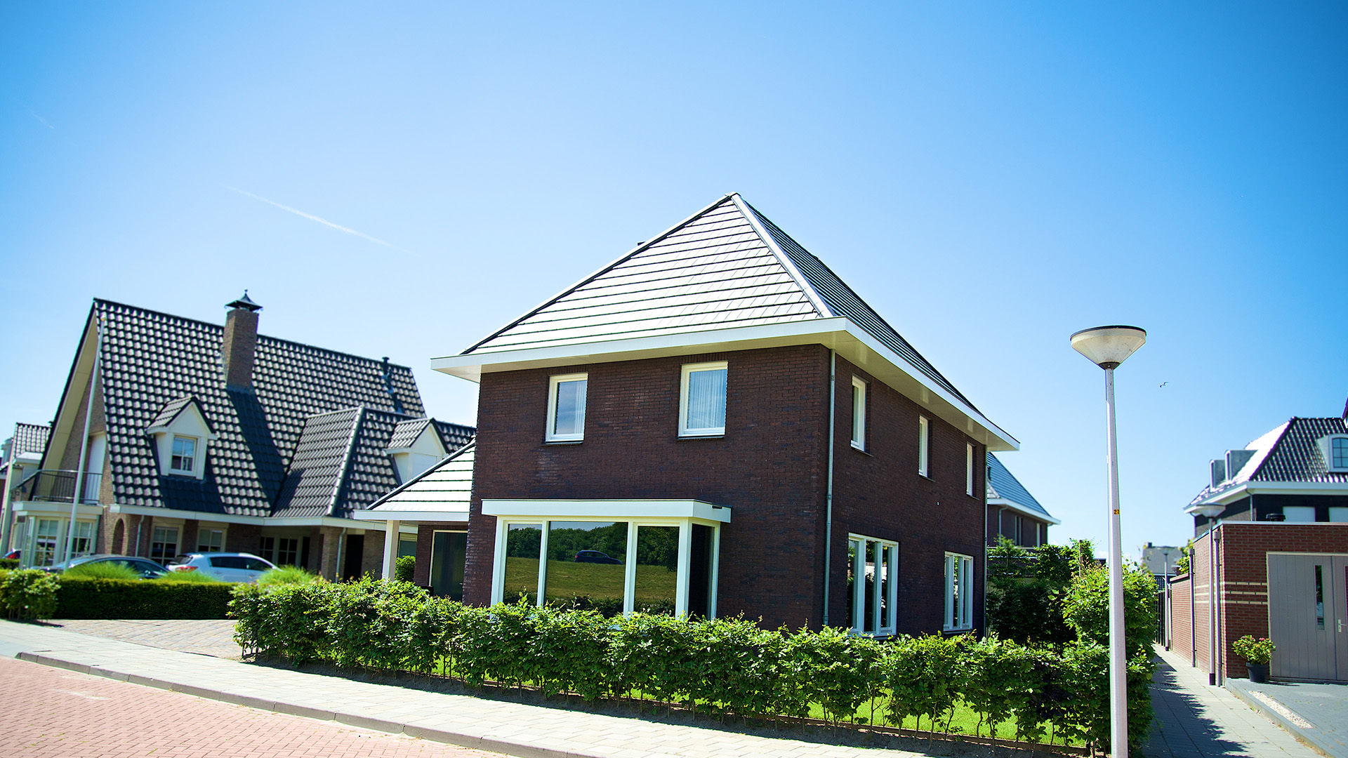 Opvallende verschijning